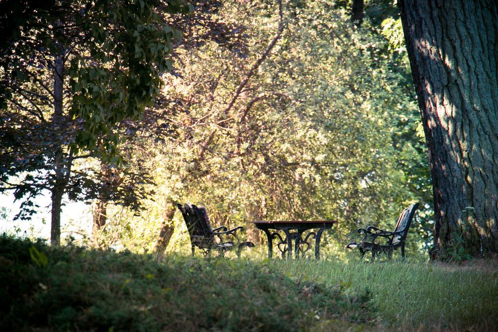 Hotel Im Park Sorkwity Bagian luar foto